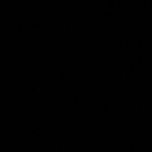 Meet your Posher, Curtis